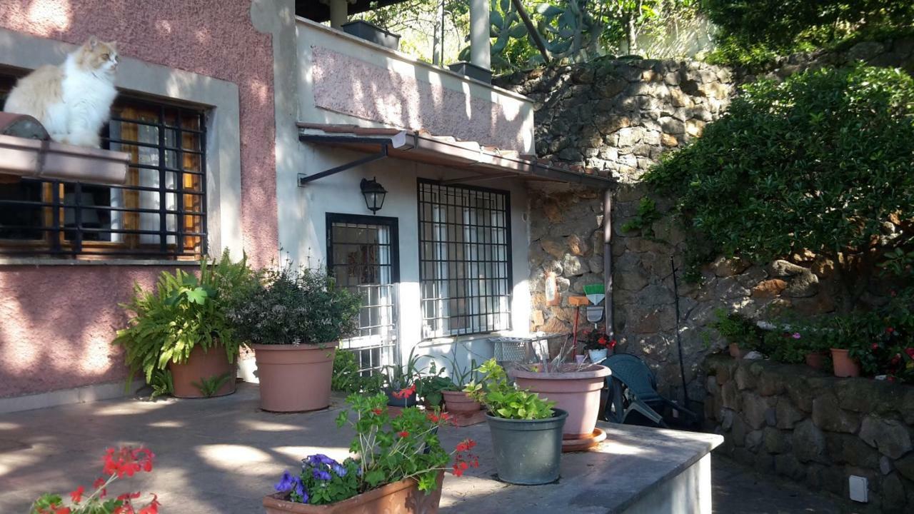 Bed&Breakfast "Fiorella" Sul Lago Castel Gandolfo Luaran gambar